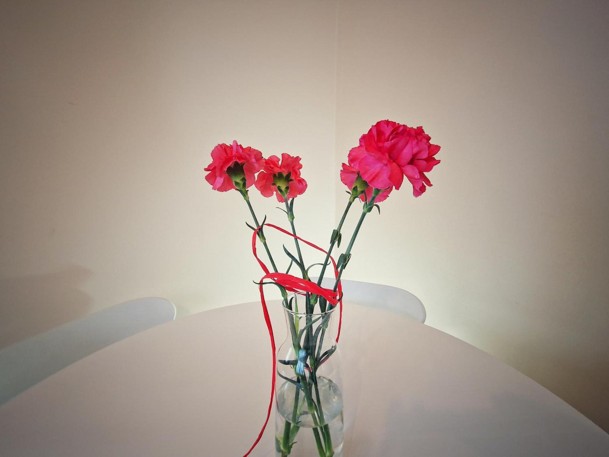 Summer Apartment Przemyśl Dış mekan fotoğraf